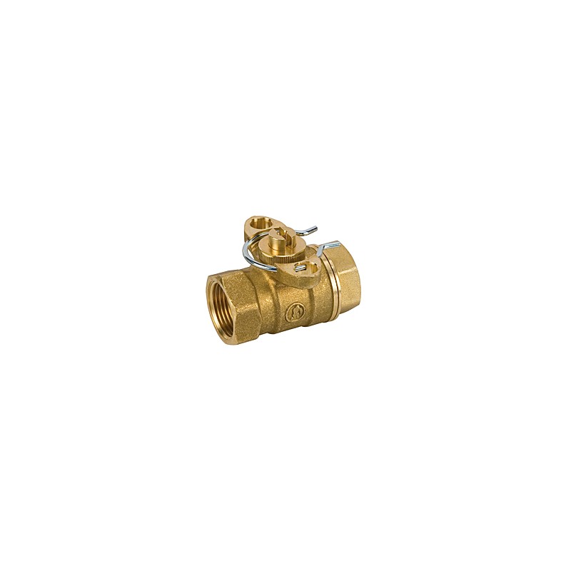 GIACOMINI ZONE VALVE TWO WAY R276 3/4 FF